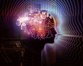 國(guó)家大數(shù)據(jù)綜合試驗(yàn)區(qū)深度調(diào)研報(bào)告